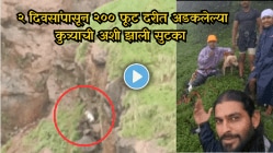 “हीच खरी माणुसकी!” २ दिवस दरीत अडकला होता कुत्रा, रडण्याचा आवाज ऐकून मदतीला धावले सह्याद्री मित्र, – थरारक Recuse Video Viral”