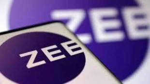 Shareholders of Zee Entertainment Enterprises Limited rejected the proposal from the promoter companies