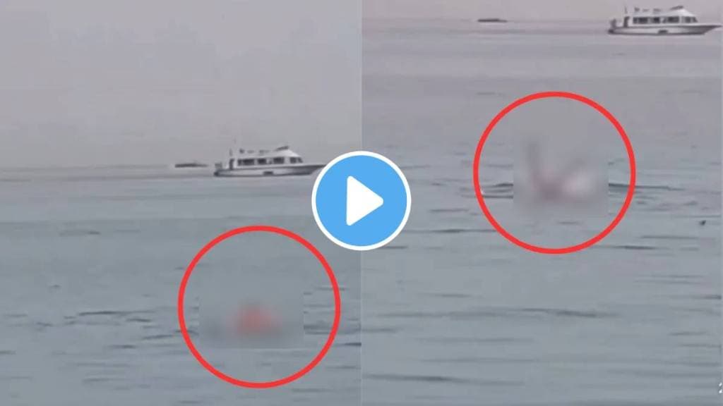 Shark Attack Video viral