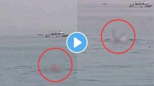 Shark Attack Video viral
