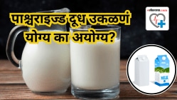 पाश्चराइज्ड दूध उकळणं योग्य का अयोग्य? तज्ज्ञ काय सांगतात, वाचा