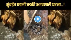बापरे! मुंबईत घराबाहेर ठेवलेल्या चपलेमागे लपला होता विषारी साप, पुढे काय झालं पाहा, VIDEO पाहून तुम्हालाही धडकी भरेल