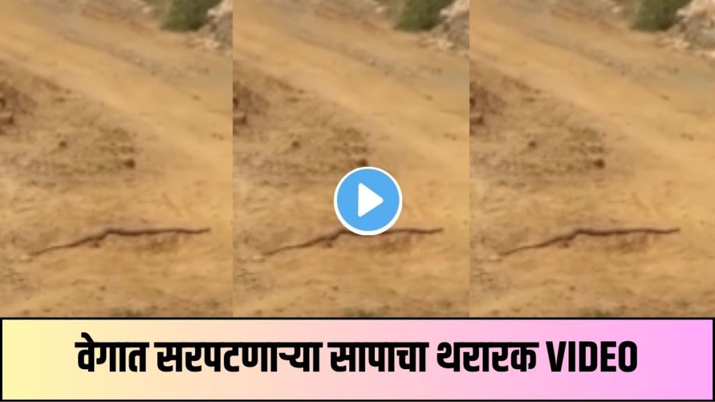 Viral Snake Running Video