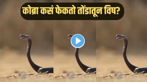 Martyr Agniveer Akshay Laxman Gawate