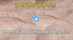 “देव विसरतो…पण कर्म दार ठोठावतं…” सापाबरोबर काय घडलं पाहा; वेदनेने तडफडणाऱ्या सापाचा VIDEO पाहून बसेल धक्का