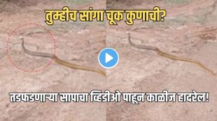 Snake viral video plastic bottle