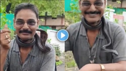 ”एक चूक आणि खेळ खल्लास!”, गळ्यात साप घेऊन फिरणाऱ्या सर्पमित्राचा थरारक मृत्यू! पाहा अंगावर काटा आणणारा Video