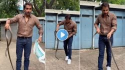 सोनू सूदच्या सोसायटीत निघाला साप; अभिनेत्याने केले असे काही की…; नेटकरी म्हणाले, “तूच खरा हिरो…”