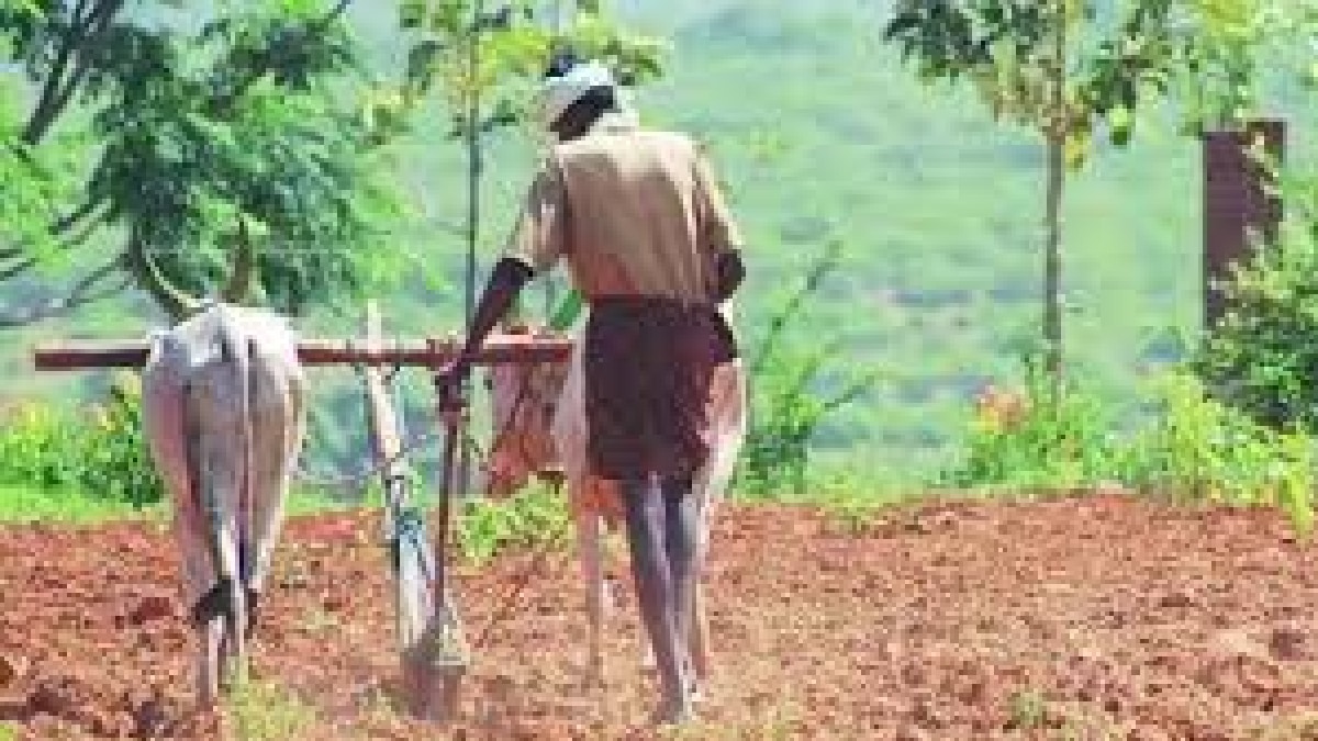 पेरण्या पूर्णत्वाकडे; पावसाची प्रतीक्षा!