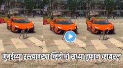 मुंबईच्या रस्त्यावर Lamborghini सुपरकारसमोर उभं राहून कुत्र्यानं काय केलं पाहा; Video तुफान व्हायरल