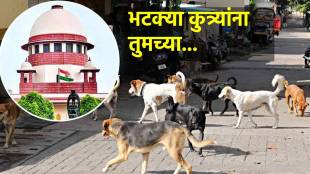 Supreme Court on Dog-Feeding Dispute