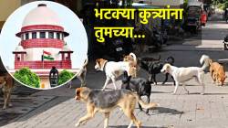 Dog-Feeding Dispute: भटक्या कुत्र्यांना अन्न देण्यास रहिवाशांचा विरोध, प्राणीमित्र पोहोचले सर्वोच्च न्यायालयात; न्यायाधीशांनी म्हटले…