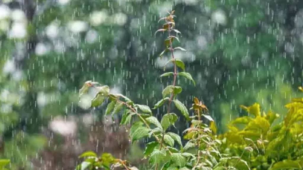Tamhini received 1000 millimeters of rain in June