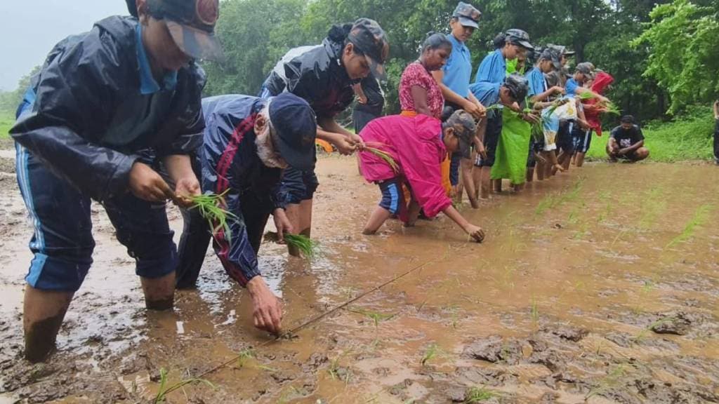 Thane Saraswati school to hold rice farming activity at Yeoor for student field experience