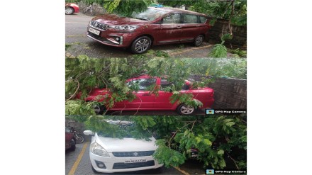 Thane tree falls in Raghunath Nagar damaging three vehicles Thane tree falls in Raghunath Nagar damaging three vehicles