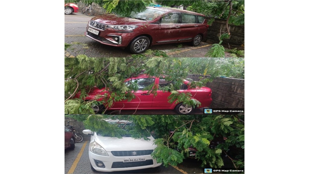 Thane tree falls in Raghunath Nagar damaging three vehicles