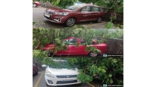 Thane tree falls in Raghunath Nagar damaging three vehicles