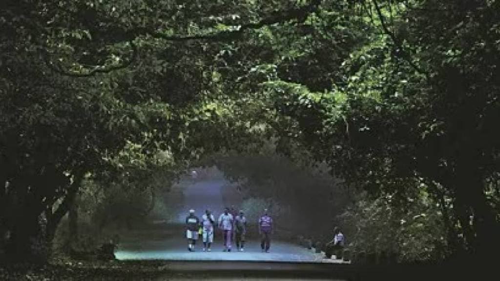 The director of Sanjay Gandhi National Park has filed an affidavit in the High Court claiming that there are difficulties in removing encroachments