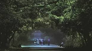 The director of Sanjay Gandhi National Park has filed an affidavit in the High Court claiming that there are difficulties in removing encroachments