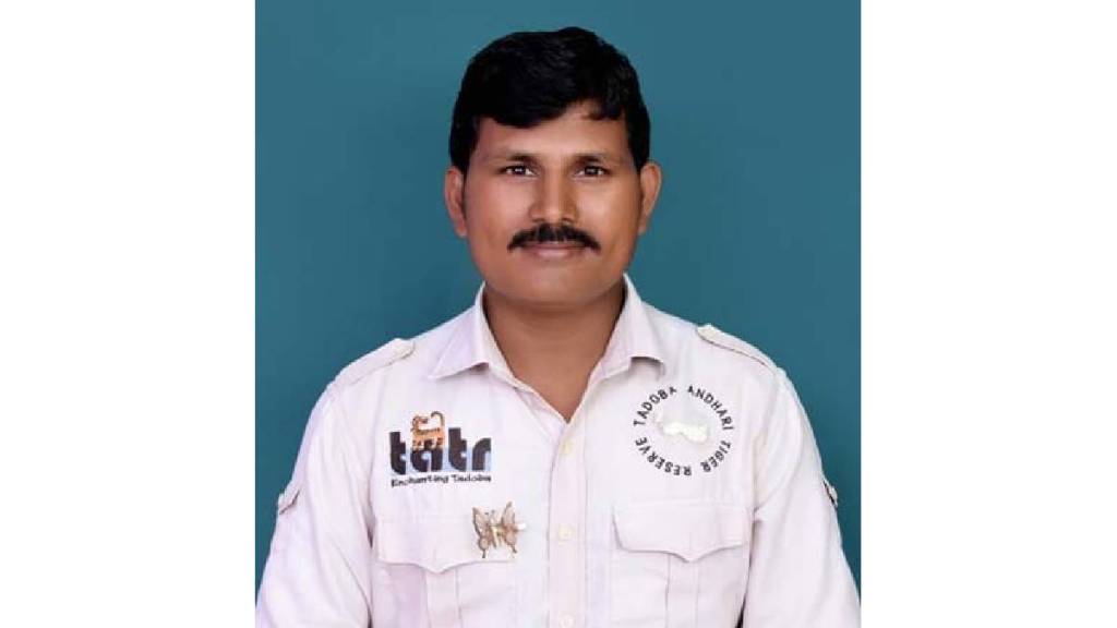 The story of Sumedh Waghmare a nature guide at Tadoba Andhari Tiger Reserve who started earning money from crows