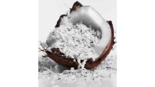There is a shortage of coconut in the market during the festive season