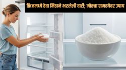 फ्रिजमध्ये मिठाने भरलेली वाटी ठेवल्याने कमाल झाली; परिणाम पाहून तुम्हालाही डोळ्यांवर विश्वास बसणार नाही