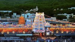 Tirupati Balaji: ‘गाय ही गाय असते’, तिरुपती मंदिरात देशी गायीच्या दुधाच्या वापराची मागणी; सर्वोच्च न्यायालय म्हणाले, “यापेक्षाही बरेच महत्त्वाचे…”
