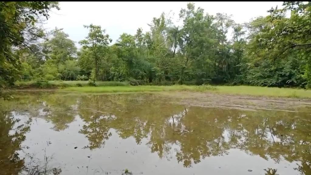 proposed port Vadhavan area palghar district Land was grabbed