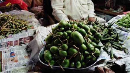 Vaghati vegetables demand increase in Ashadhi Ekadash