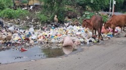 शहरात जागोजागी कचऱ्याचे ढिगारे