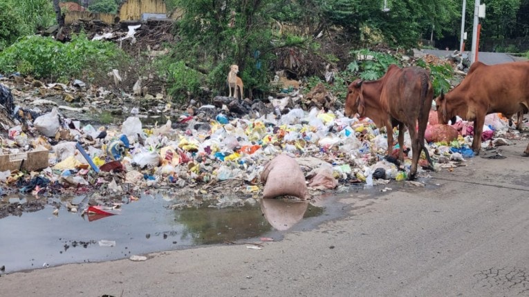 शहरात जागोजागी कचऱ्याचे ढिगारे