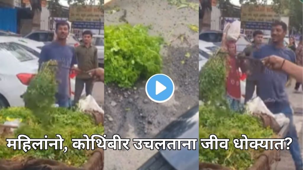 Cobra in coriander viral video