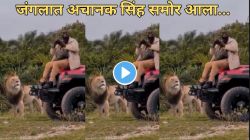 बापरे! जंगल सफारीदरम्यान अचानक पर्यटकांच्या जीपजवळ उभा राहिला सिंह; पुढे काय झालं Video पाहून अंगावर येतील शहारे!