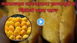 पावसाळ्यात आंबे खाताय? रसाळ आंब्यातून हे काय निघालं पाहा; VIDEO पाहून तुम्ही आंबा खाण्याआधी १०० वेळा विचार कराल!
