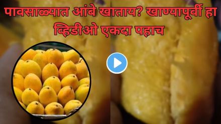 Worms found inside mango video