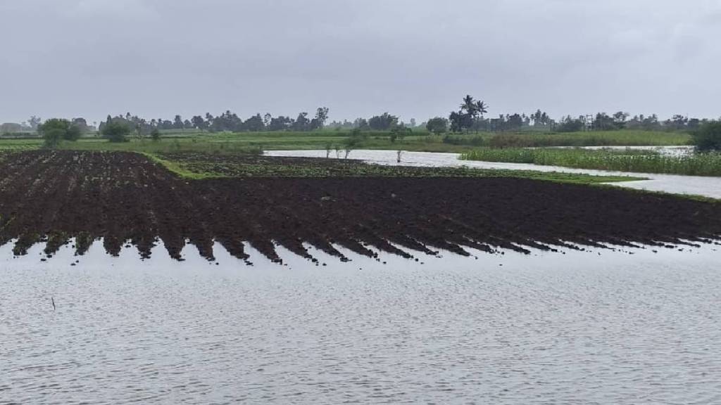 Water level of Panchganga rises in Kolhapur water has entered agricultural lands in Shirol