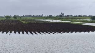 Water level of Panchganga rises in Kolhapur water has entered agricultural lands in Shirol