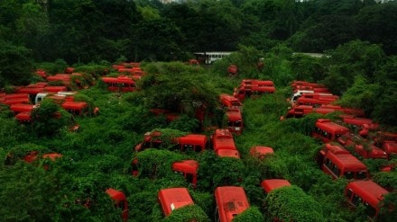 BEST buses auction, Mumbai bus contract cancellation, BEST bus shortage, Agra depot buses, Mumbai public transport, BEST bus service issues, bus contract disputes, Mumbai commuter inconvenience, new bus procurement Mumbai,