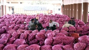 summer onion production Maharashtra,onion price drop Nashik,onion market surplus,BJP Kisan Morcha onion demand,central government onion purchase extension,onion farming challenges Nashik,onion export potential Maharashtra,onion price impact by imports,onion storage issues farmers,