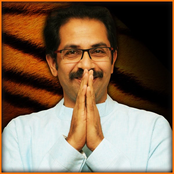 World Tiger Day, jungle king, Uddhav Thackeray Photoshoot