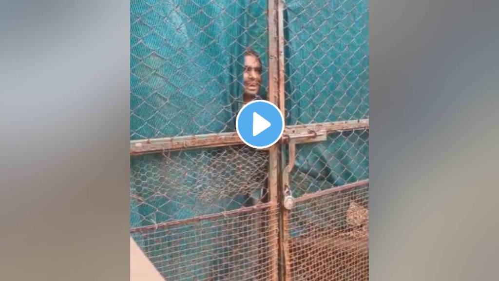 Youth jumps into tiger cage in Nagpur Maharajbagh Zoo premises
