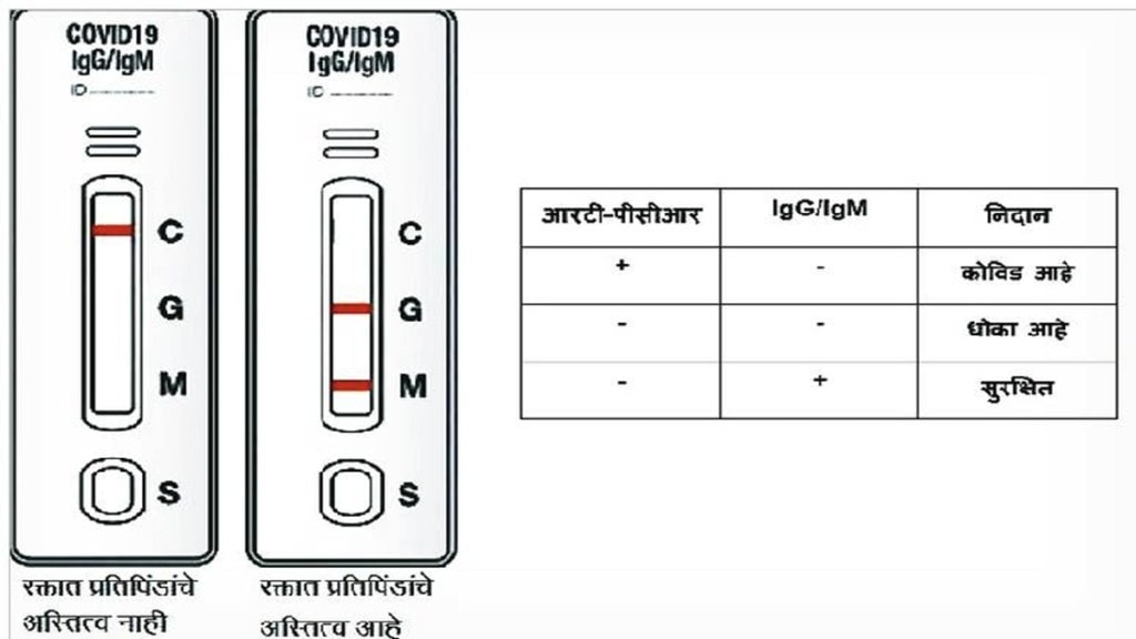 COVID-19 testing, rapid antigen test, RT-PCR test,