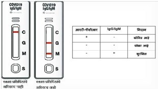 COVID-19 testing, rapid antigen test, RT-PCR test,
