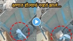 “काय अवस्था झाली असेल त्याची…”, भररस्त्यात ट्रक ड्रायव्हरच्या डोक्यावर भलामोठा दगड पडला अन् क्षणात…, धक्कादायक VIDEO व्हायरल