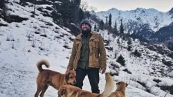 श्वानांमुळे बॉलीवूड अभिनेत्याचा झाला घटस्फोट; थाटामाटात केलेला प्रेमविवाह, आता राहतो एकटाच