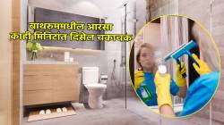 किचनमधील ओला कचरा फेकून देताय? मग थांबा, आरसा स्वच्छ करण्यासाठी ‘असा’ करा वापर, दिसेल एकदम चकाचक