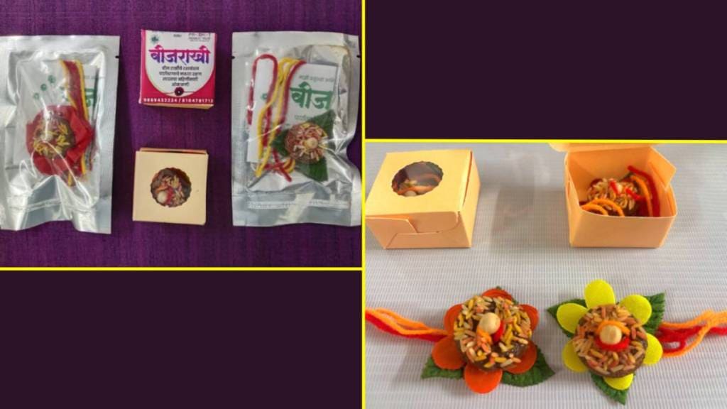 New trend of 'Seed Rakhi'; Employment for women along with eco-friendly festival
