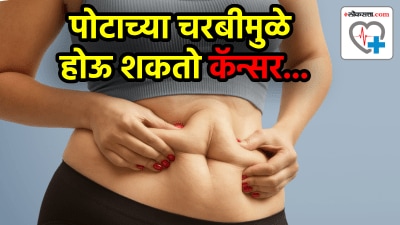 पोटाच्या चरबीमुळे होऊ शकतो कॅन्सर! वेळीच लक्ष द्या नाहीतर…, तज्ज्ञ सांगतात, ”ब्रेस्ट… ”