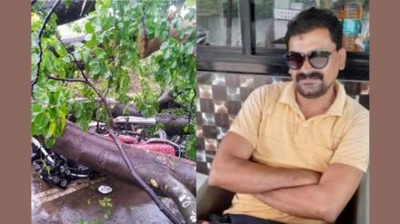 Father dies, son critically injured after tree falls on bike in Gondia