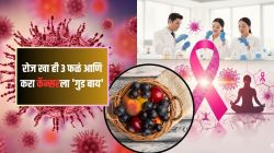 कॅन्सरचा धोका होईल कमी, रोज फक्त ही ३ फळं खा; डॉक्टर काय सांगतात, जाणून घ्या…